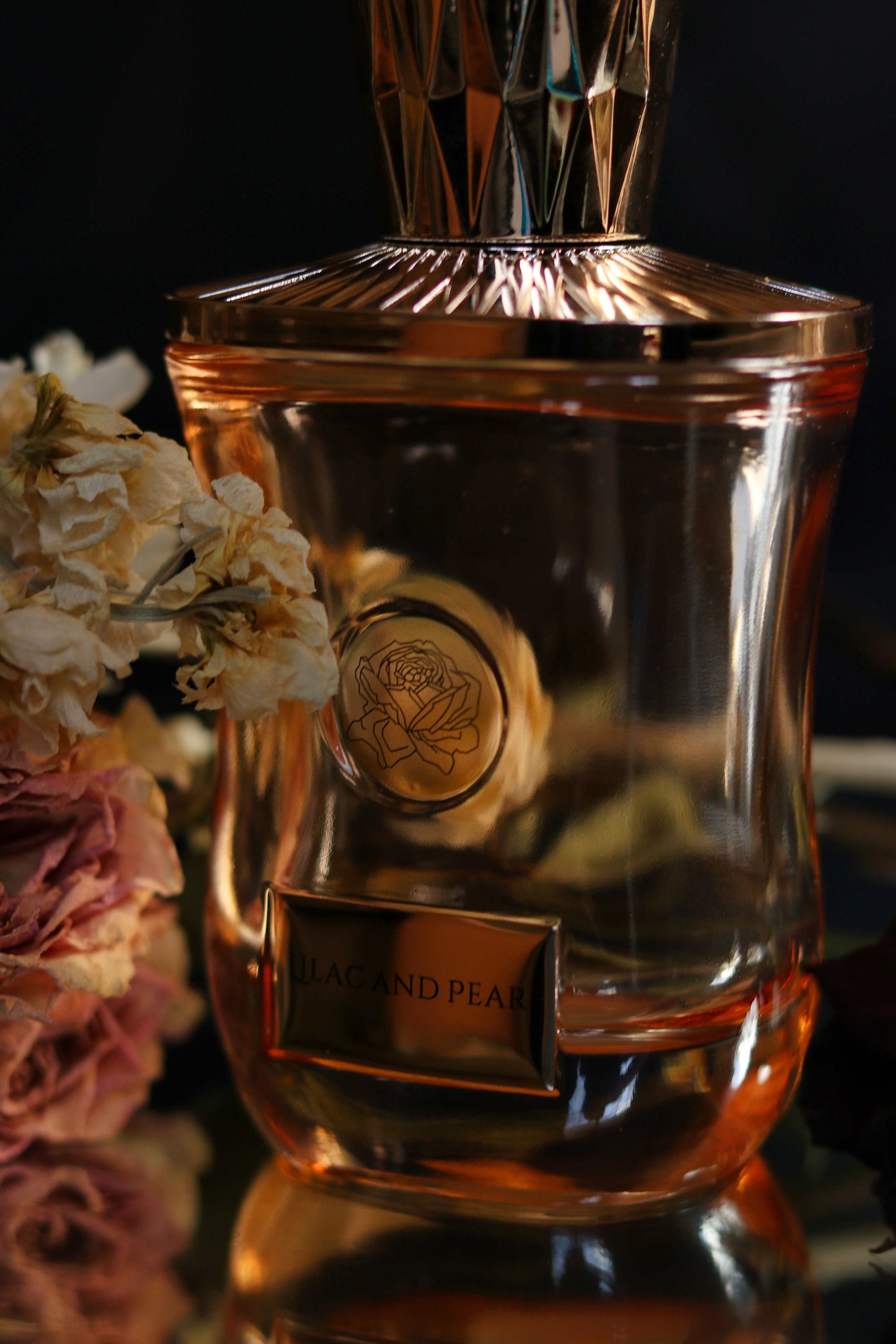 Lilac and pear, Citrus Ocean, and Jasmine Perfume cologne set