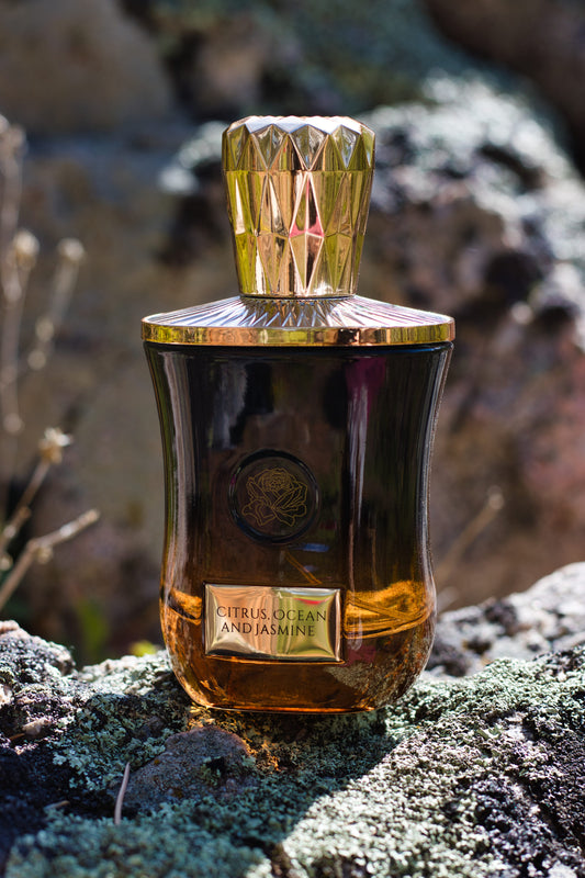 Fae Perfume Citrus, Ocean and Jasmine cologne bottle with a gold cap on a lichen-covered rock.