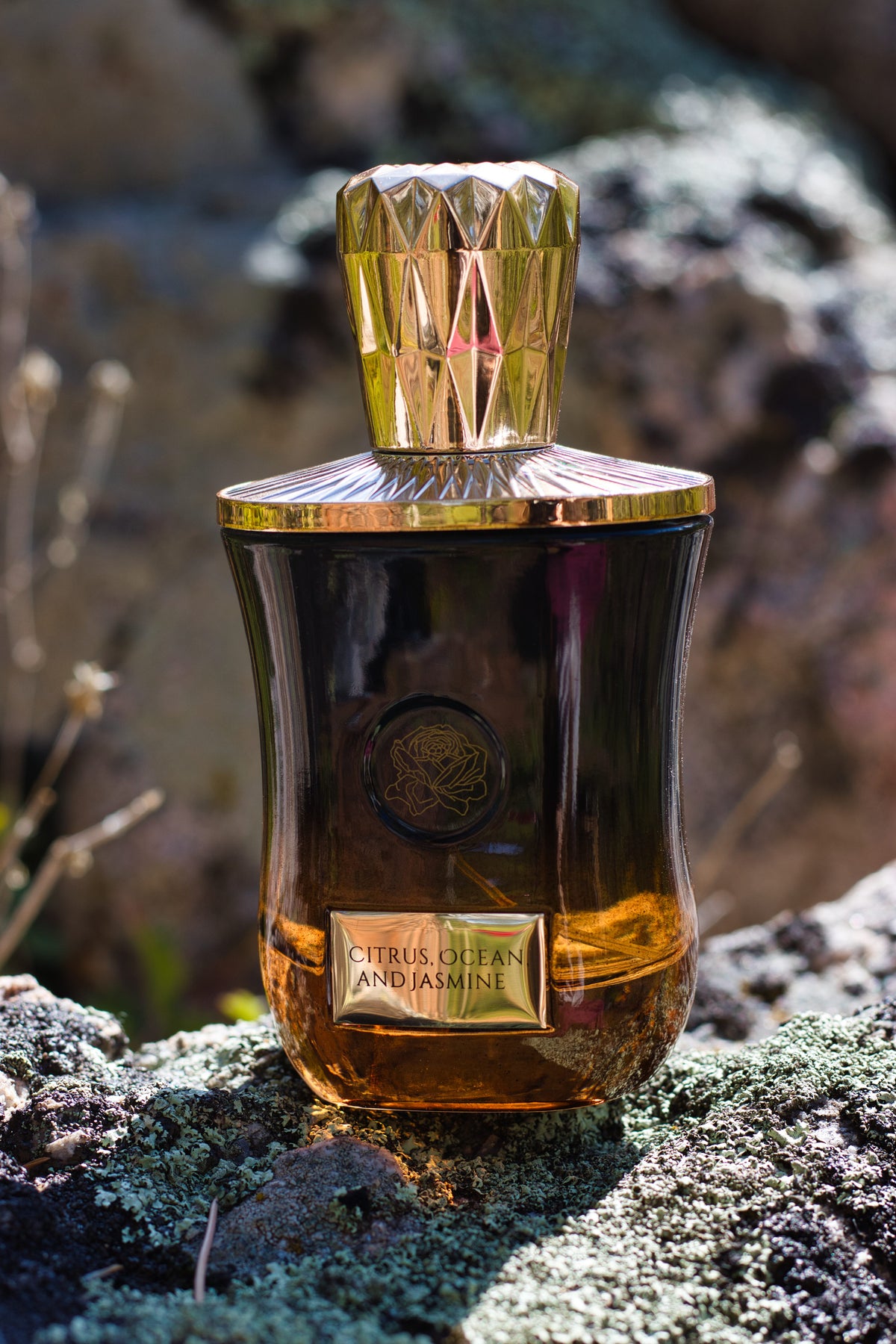 Citrus ocean, and Jasmine